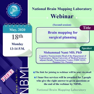 Brain mapping for surgical planning